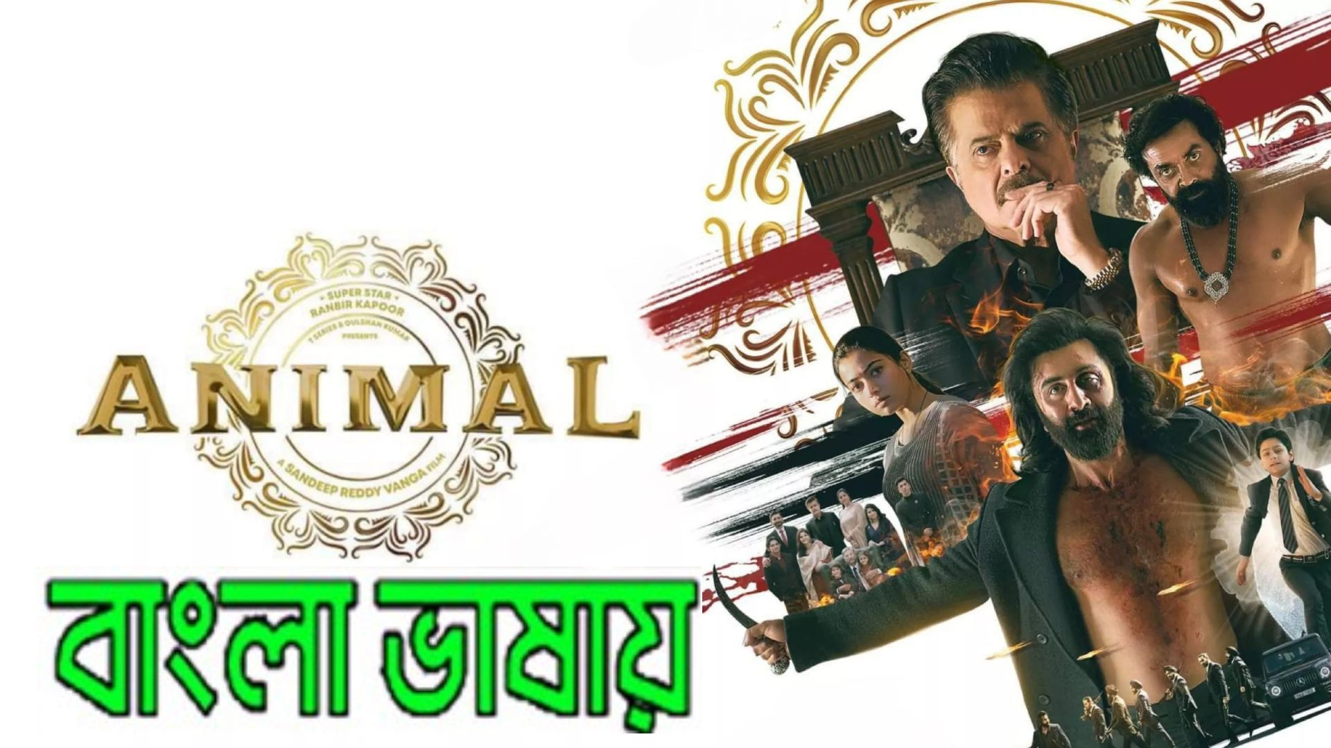 Animal (2024) Bengali Dubbed ORG WEB-DL 480P